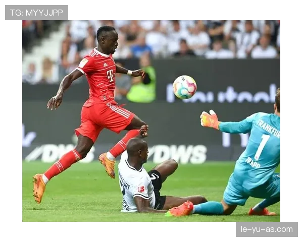 莱茵兰骄傲再续辉煌！德甲新赛季揭幕战惊艳全场，未来可期