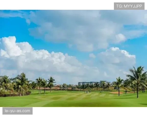 巴西队中路渗透战术显成效，助球队国际赛场高光表现