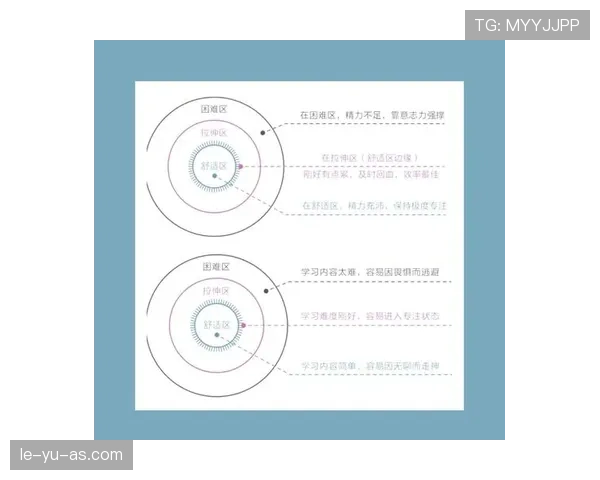 布鲁诺成长关键因素解析 布鲁诺成长关键因素解析